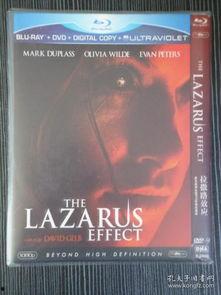 回魂唱片,唤醒沉睡旋律的神秘之旅